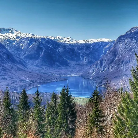 Masa Bohinj